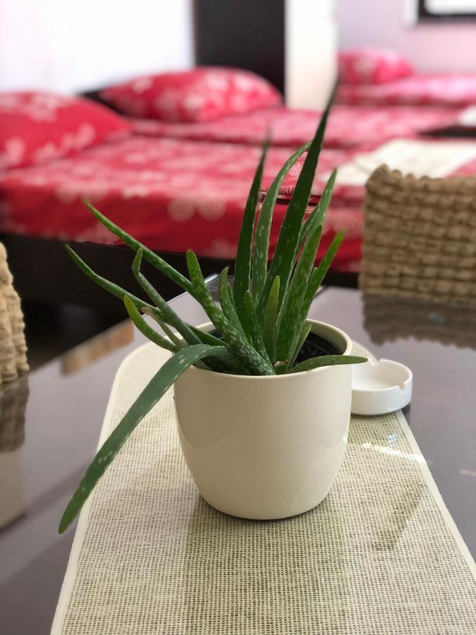 אוהריד Katjel Apartments מראה חיצוני תמונה